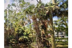  41st AVE NE, Naples, FL 34120 Sold 11/06/25