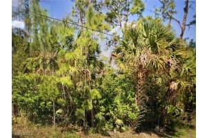  41st AVE NE, Naples, FL 34120 Sold 11/06/25