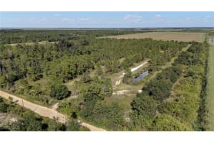 47310 Bermont Road, Punta Gorda, FL 33982 - MLS#225074635