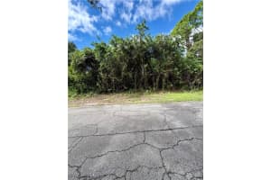 321 Jackson Avenue, Lehigh Acres, FL 33936 - MLS#225074722