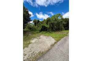 321 Jackson Avenue, Lehigh Acres, FL 33936 - MLS#225074722