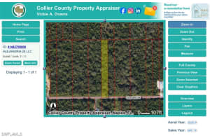 , Naples, FL 34117 - MLS#225076109