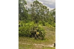 1055 Harwood Avenue, Lehigh Acres, FL 33974 - MLS#225077805