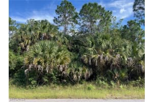  6th ST NE, Naples, FL 34120 - MLS#225078056