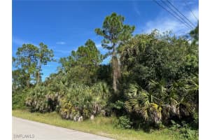  6th ST NE, Naples, FL 34120 - MLS#225078056