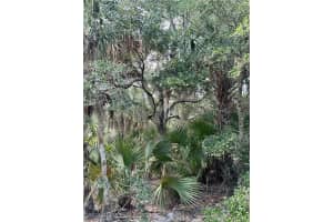 1701 Cabbage Wood Road, Okeechobee, FL 34974 - MLS#225078308