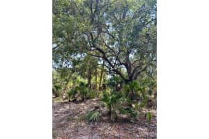 1701 Cabbage Wood Road, Okeechobee, FL 34974 - MLS#225078308