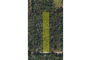 MLS# 225078637, Naples, Florida 34120