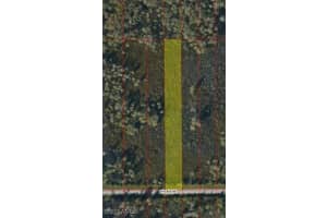 MLS# 225078638, Naples, Florida 34120