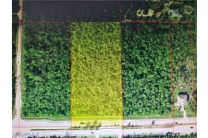 , Naples, FL 34120 - MLS#225078914