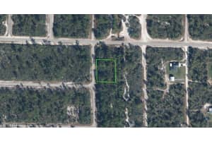 1065 Ridge Street, Lake Placid, FL 33852 - MLS#225079236