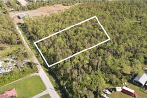 25531 Tropic Acres Drive, Bonita Springs, FL 34135 - MLS#225079397