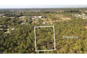 25531 Tropic Acres Drive, Bonita Springs, FL 34135 - MLS#225079397