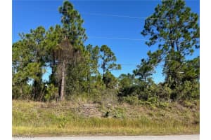  54th AVE NE, Naples, FL 34120 - MLS#225080151