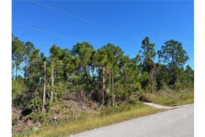  54th AVE NE, Naples, FL 34120 - MLS#225080151