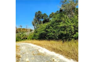 420 McLean Circle, Lehigh Acres, FL 33972 - MLS#225080287