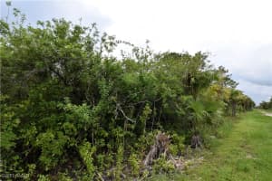  36th AVE SE, Naples, FL 34117 - MLS#225081357