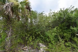  36th AVE SE, Naples, FL 34117 - MLS#225081357