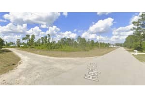 1135 Darling Street, Lehigh Acres, FL 33974 - MLS#225081870