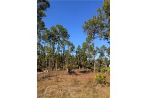 1111 Florence Street, Lehigh Acres, FL 33974 - MLS#225082058