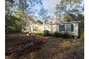 4860 FIREWEED Street, Middleburg, FL 32068 - MLS#225082389