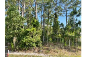 0 29TH Ave Everglades Boulevard, Naples, FL 34120 - MLS#225082390