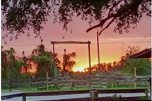 23261 Tuckahoe Rd, Alva 23261 Tuckahoe Rd, Alva