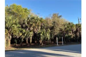 MLS# 225084213, Naples, Florida 34120