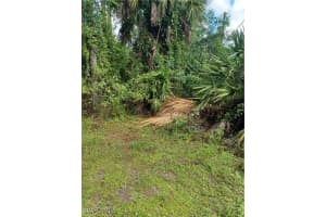 MLS# 225084475, Naples, Florida 34117