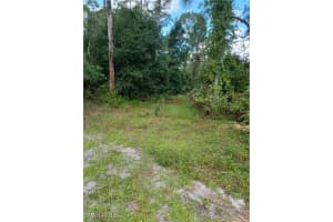 MLS# 225084475, Naples, Florida 34117