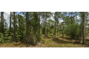 713 Clemwood Avenue, Lehigh Acres, FL 33974 - MLS#225084516