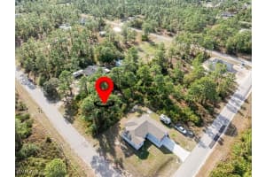 921 Moore Avenue, Lehigh Acres, FL 33972 - MLS#225084551