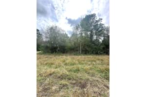 1226 Sunrise Boulevard, Lehigh Acres, FL 33974 - MLS#225085173