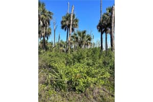  32nd Ave SE, Naples, FL 34117 - MLS#226000077