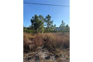 385 LILLON Avenue, Lehigh Acres, FL 33974 - MLS#226001017