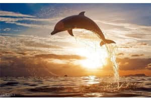 25850 Hickory Boulevard, Bonita Springs, FL 34134 - MLS#226001116