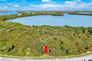 1011 Blue Hill Creek Drive, Marco Island, FL 34145 - MLS#226001392