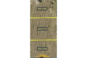 1037 Portland Avenue, Lehigh Acres, FL 33974 - MLS#226001638