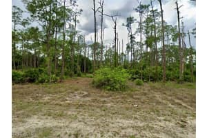 1515 Maple Avenue, Lehigh Acres, FL 33972 - MLS#226002400