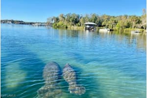 317 Sunrise Cay 103, Naples, FL 34114 Sold 04/15/26