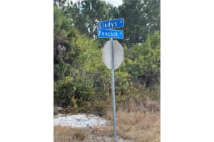 MLS# 226003734, Lehigh Acres, Florida 33974