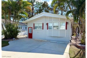 91 Vanda Sanctuary 91, Naples