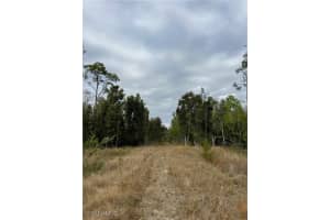 24265 Rocky Road, Bonita Springs, FL 34135 - MLS#226004259