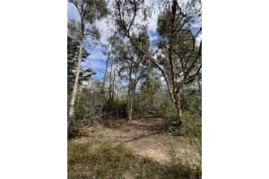 24265 Rocky Road, Bonita Springs, FL 34135 - MLS#226004259