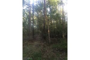 xxxx 28th Avenue, Naples, FL 34117 - MLS#226004940