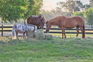 6050 Stringfellow Road, St James City, FL 33956 - MLS#226006768