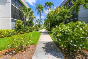 788 Park Shore Drive, Naples, FL 34103 - MLS#226006873