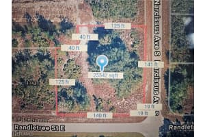 1145 Randletree Street, Lehigh Acres, FL 33936 - MLS#226007127