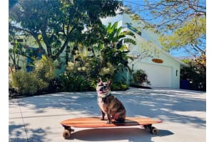 1155 12th Street, Naples, FL 34102 - MLS#226007603