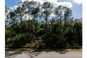 PID 39149400008 66TH Avenue, Naples, FL 34120 - MLS#226007737